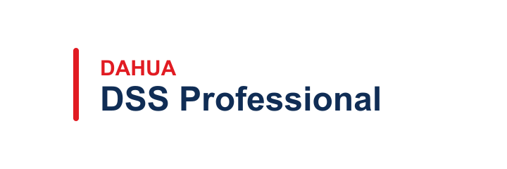 DSS Professional